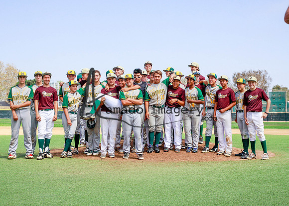 SandGnats3-14