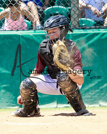 SandGnats17-ChampionshipGame-2