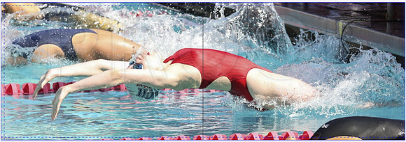 Layout 5