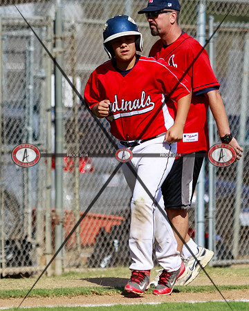 Cardinals10-79