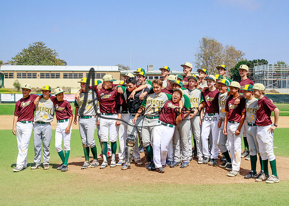 SandGnats3-13