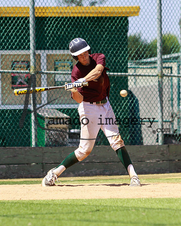 SandGnats3-6