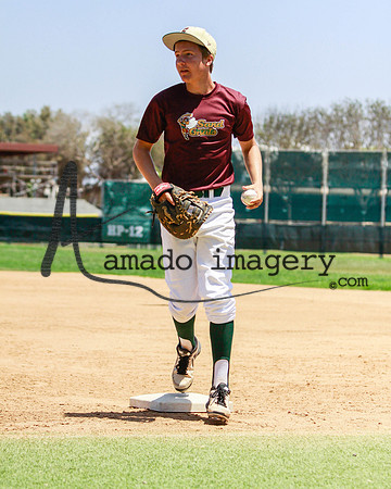 SandGnats3-2