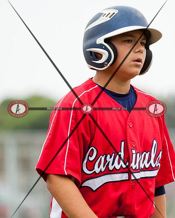 Cardinals10-53