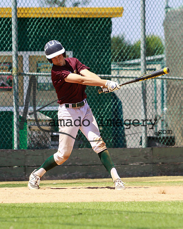 SandGnats3-7