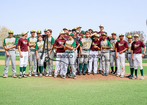 SandGnats3-15