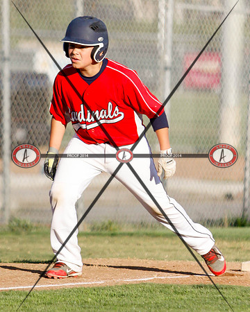 Cardinals10-1