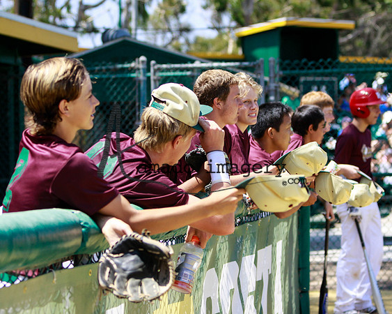 SandGnats3-5