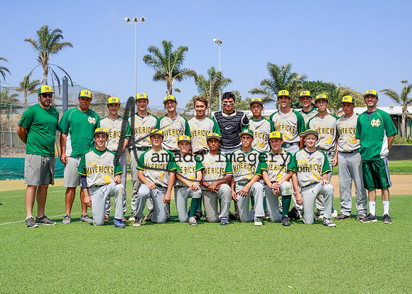 SandGnats3-10