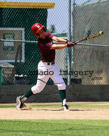 SandGnats3-9