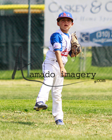 LosAlamos66-15