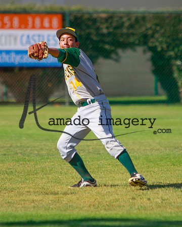 Gray14-12