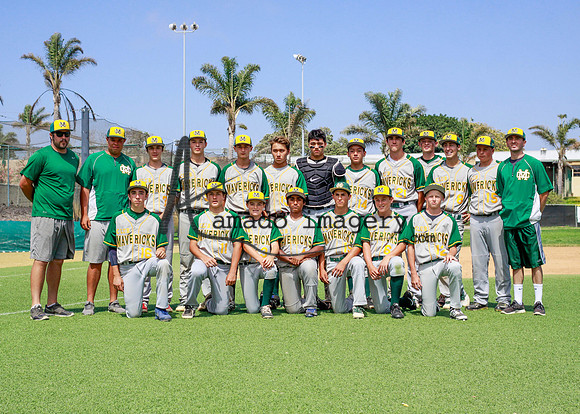 SandGnats3-11