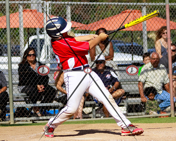 Cardinals10-78