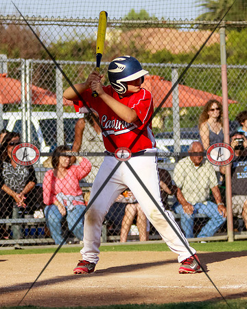 Cardinals10-84