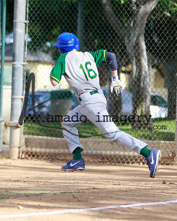 Gray16-7