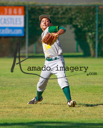 Gray14-13