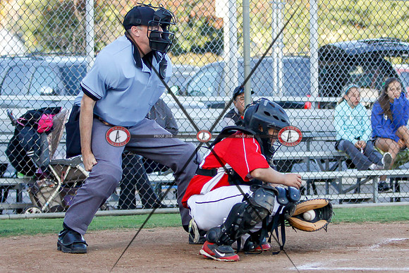 Cardinals10-11