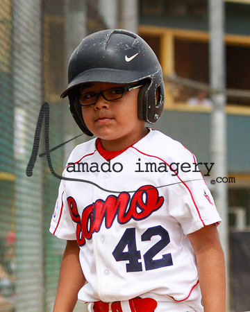 SaMo42-1
