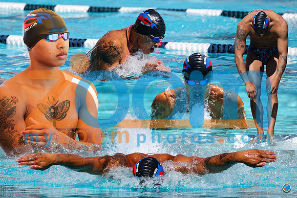 Seamless_Lee_Tyler copy