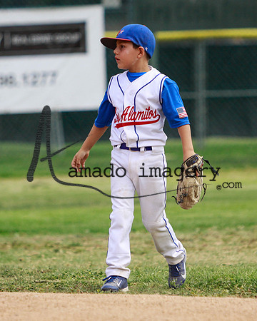 LosAlamos66-42