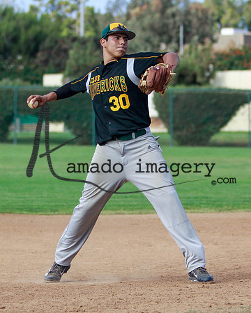 Black30-78